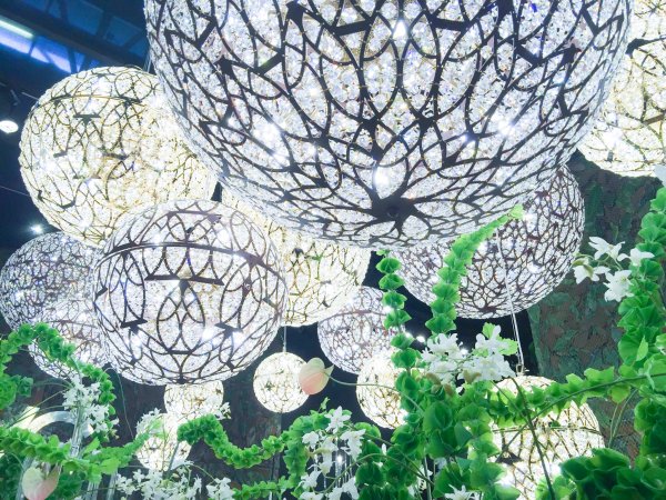 The Magic of Lighting